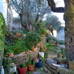House within the castle have lovely potted flowers.