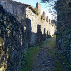 Houses within the castle walls.