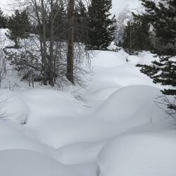 Snow covers a creek flowing underneath
