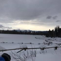 Pearly Morning Light