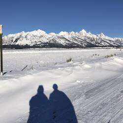Shadows in the Snow