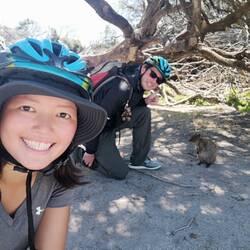 Hey Quokka, schau a mal :)