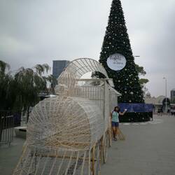 Weihnachtsdeko in Perth