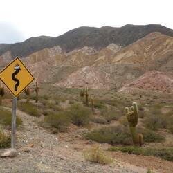 Im Kaktus Nationalpark Los Cardones