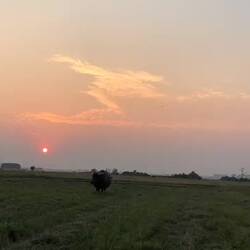 Watch as the sun goes down and changes colour