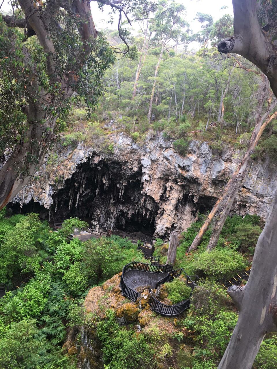 Living Window