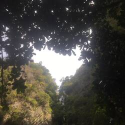 Emerald Cave (Herzchenfoto von Guide)