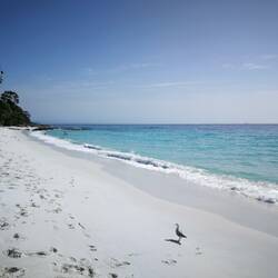 Hyams Beach
