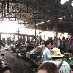 The fish market. I missed recording the lady singing naughty song lyrics.