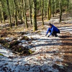 Chris is gonna get nailed.