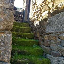 Mossy stairs