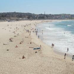 Bondi Beach