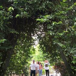 Botanisch eingerahmte Familie