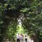 Botanisch eingerahmte Familie
