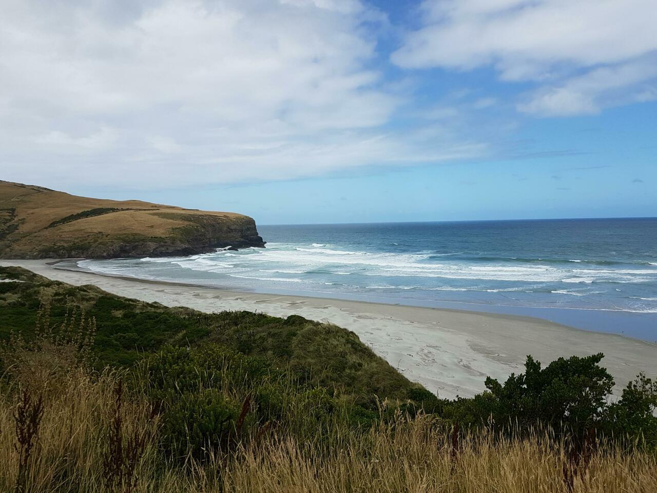 Waverley, New Zealand Travel Journals & Blogs