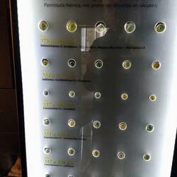 A few of the 600 Roman Coins found in a jar