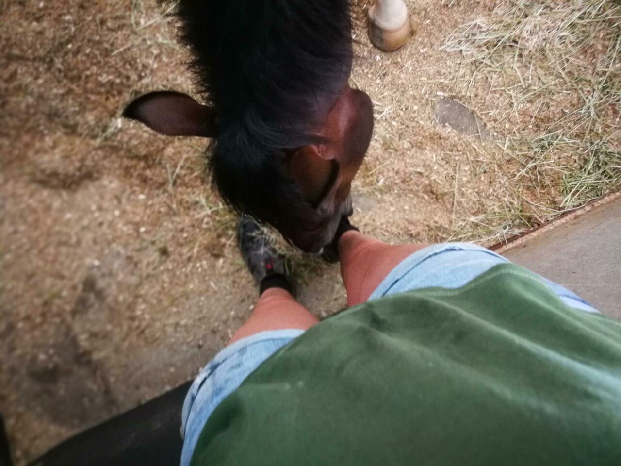 Schmeckt mein Schuh? :P