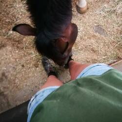 Schmeckt mein Schuh? :P