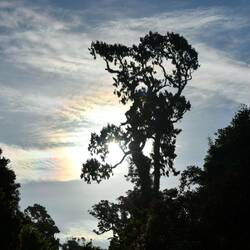 Regenbogen in den Wolken ... echt spooky