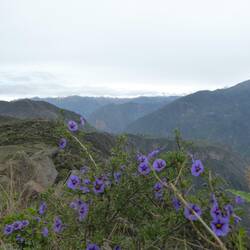 Start of the track @ Colca Canyon