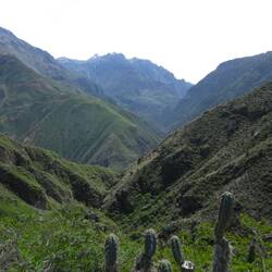 Geweldige omgeving @ Colca Canyon