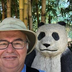 Le Pandas que Oli cherche au Japon