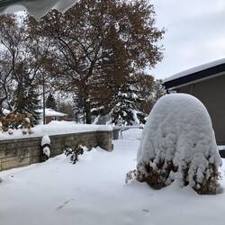Our front yard. 34 days until Spring Equinox.
