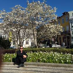 Flowering almond enhancing another beauty