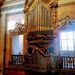 One of the two organs