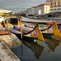 Brightly coloured Moliceiros