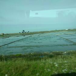Salt pans at the Outdoor Ecological Museum