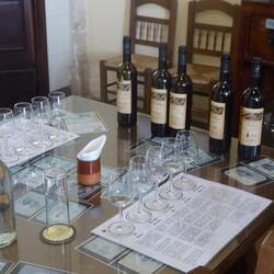 Tasting at Dios Baco