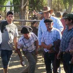 Bei 'Taba' geht es um Geld und Glück