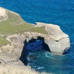 New Zealand's own 'apostle'. Not just on the great ocean road.