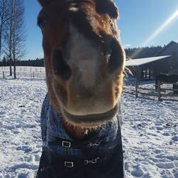What is that? Can I eat it?