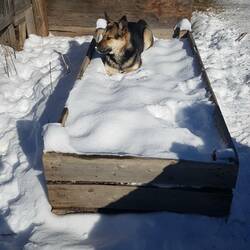 Franky lying in her "Throne"