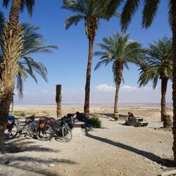 Nachmittags-Siesta unter Palmen 😀