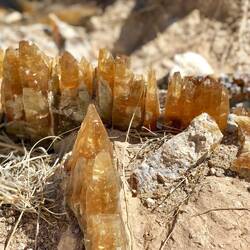 Gypsum cristals