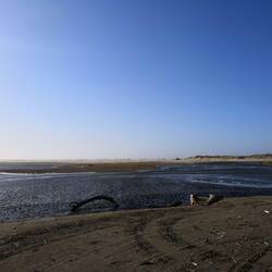 Der endlose Hokio Beach 😍