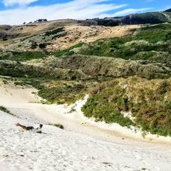 Sandy boogie boarders