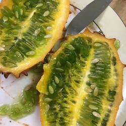 Kiwano Frucht