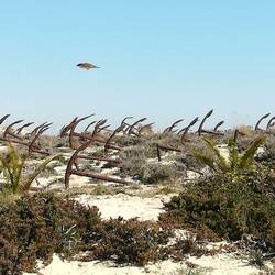 The anchor cemetery at Praia Barril