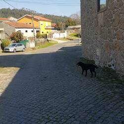 Unsere neu gewonnene Freundin <3