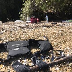 Freshly boiled mussels at lunch