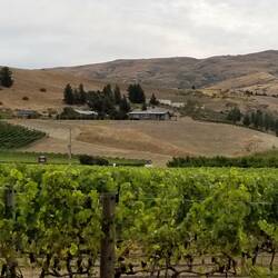 Central Otago... Cromwell