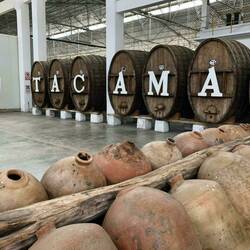 Barrels @ Tacama winery
