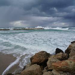 Keiner will baden😂