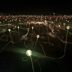 Fields of lights