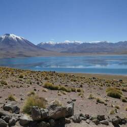 Laguna Miscanti