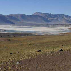 Salar des Aqua Calientes